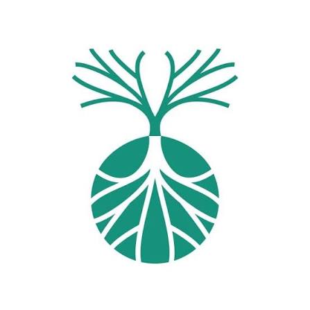 Logo Fondazione Don Calabria